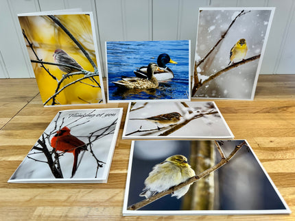 6 Pack Blank Greeting Cards