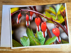 Bleeding Heart Photo Greeting Card
